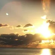 リヴィの画像