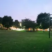 ほーら、の画像