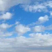 Rの画像