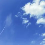 Rin5の画像