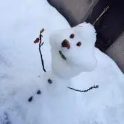 もっち