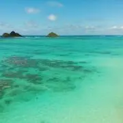 Krcs★年内断捨離中！の画像