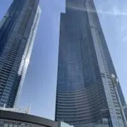 みつばの画像