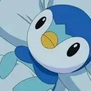 ぽちょこの画像