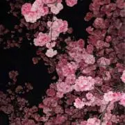 MoonLightの画像