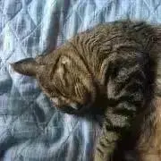 monの画像