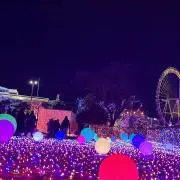 cocoの画像