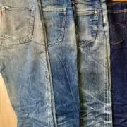 はなぷるの画像