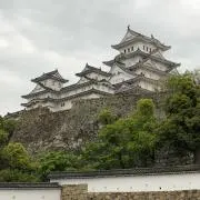 こうめの画像