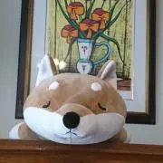 まるすぎの画像