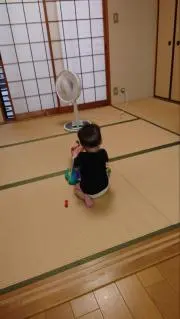 天然パーパの画像