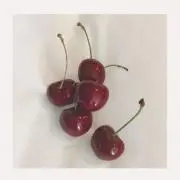 shuの画像