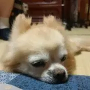 みっくん