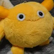きぃの画像