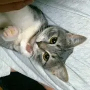 なっしぃ