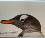 マイケルJヒロの画像