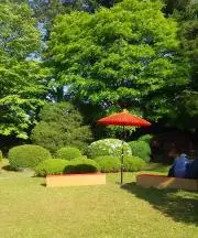 canaの画像