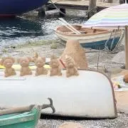 すのーどーむの画像