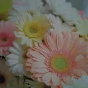 あづえみの画像