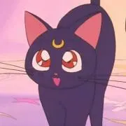 なぁちゃん