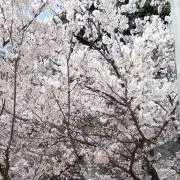 もも（プロフご覧ください！）