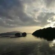 yasu82