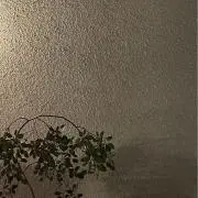 mmの画像