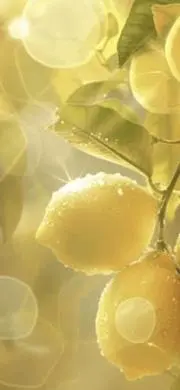 DM@24時間以内配送・即購入大歓迎の画像