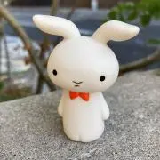 ライチの画像