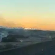 noraの画像