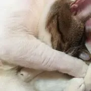 ゆーの画像