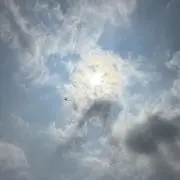 あお【２４時間以内発送】の画像