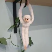 KATの画像
