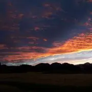 わきゃこの画像