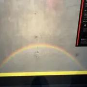 バムの画像