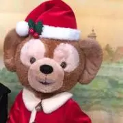ぽんぽんの画像