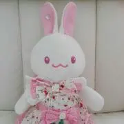 うさもも☆の画像