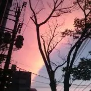 おりーぶ