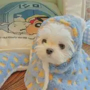 kiki【プロフ必読お願いします。】の画像