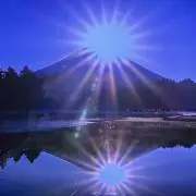 アワちゃんの画像