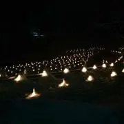 ハッピー