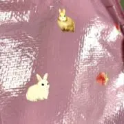 いちごうさぎ
