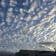 ぴろぴろ☆の画像