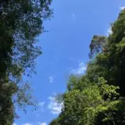 taka_交渉OK