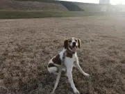 あつの画像