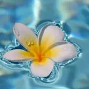 リコ☺︎の画像