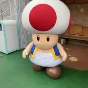 patora ❤️即購入OK❣️の画像