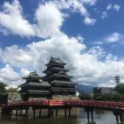 Tomcat7016の画像