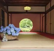 ともちの画像