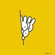 もえの画像